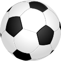 Der FSV-Jugendbereich in der Saison 2020/2021